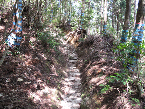 20140502hike (63)